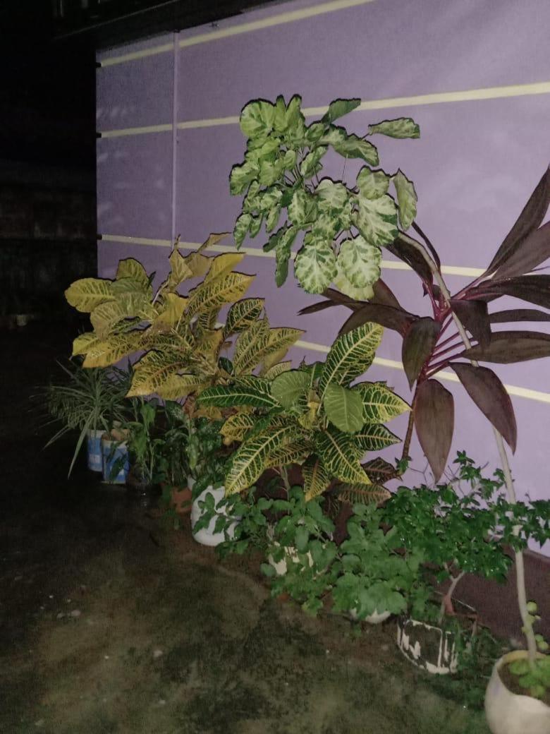 Vian Homestay Honāvar Esterno foto